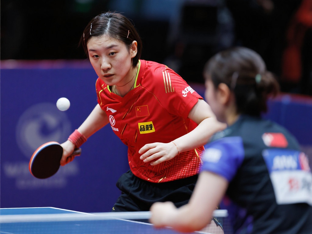 自由职业者 自由职业者